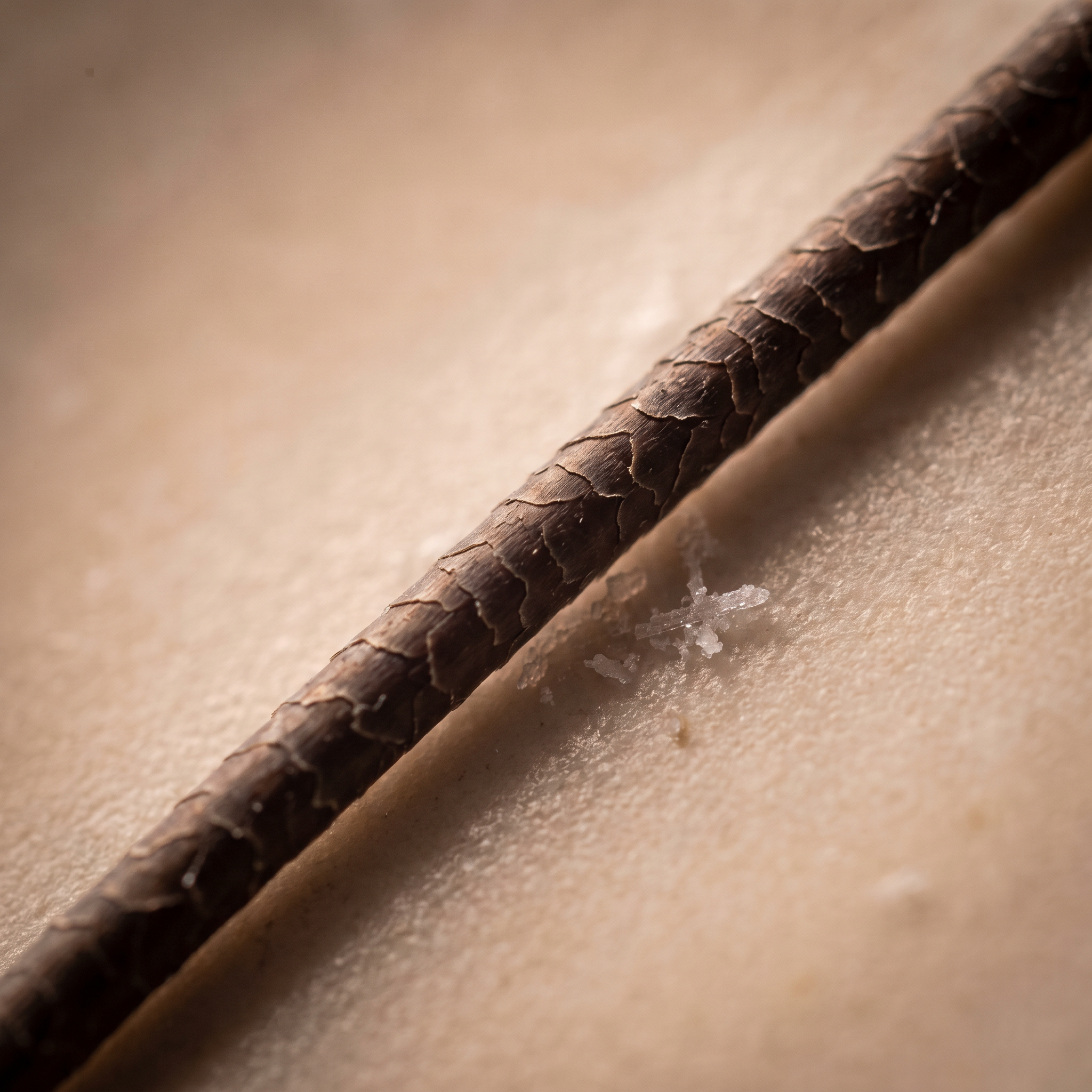 Extreme macro of a single dark brown hair fibre showing overlapping cuticle scales, with fine white mineral particles resting against it